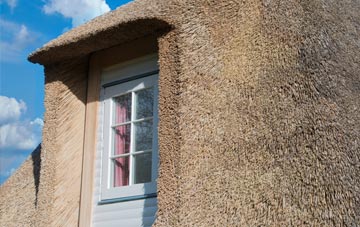 Caldicot thatch roof disadvantages